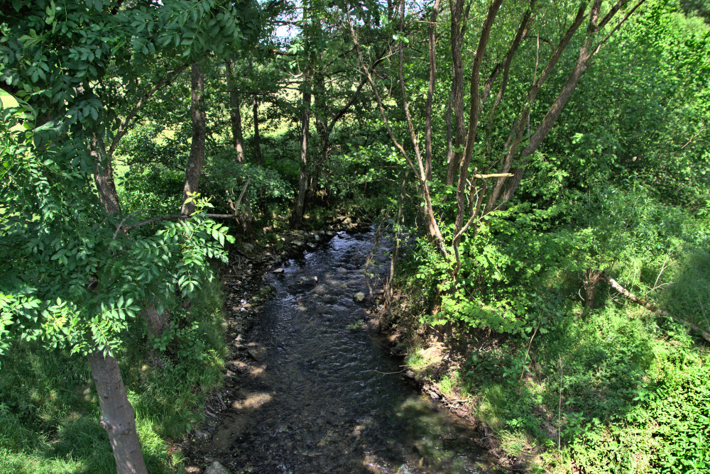 Niederquembach