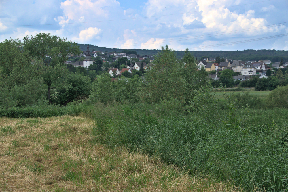 Burgsolms